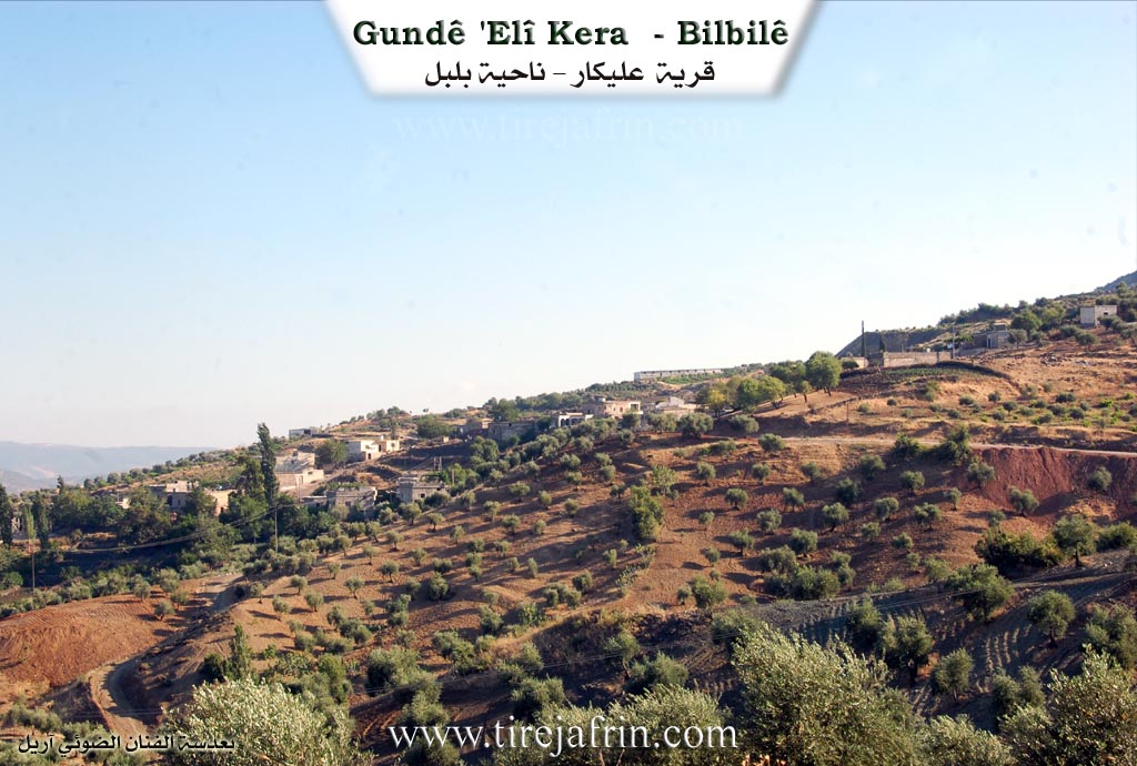 Photo of Eli Kera